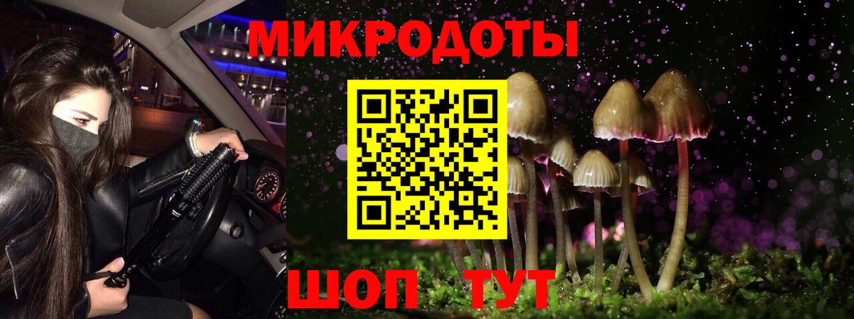 Галлюциногенные грибы Psilocybe  Галлюциногенные грибы ЛСД  Вход с VPN  Новозыбков 