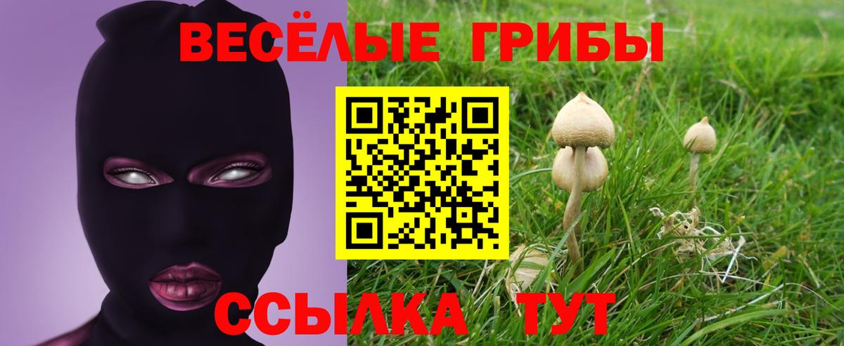Галлюциногенные грибы MAGIC MUSHROOMS Новозыбков